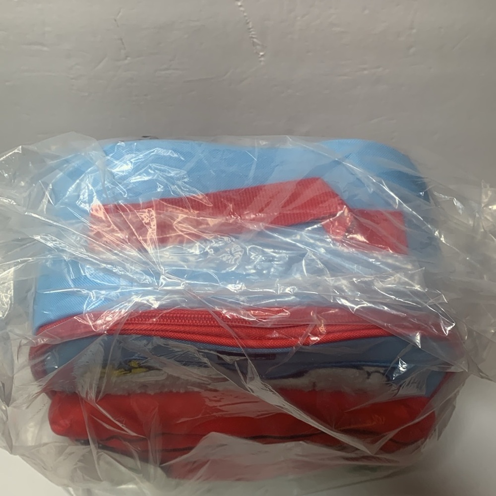 Peanuts Snoopy Insulated Backpack Igloo Mini Conv… - image 9